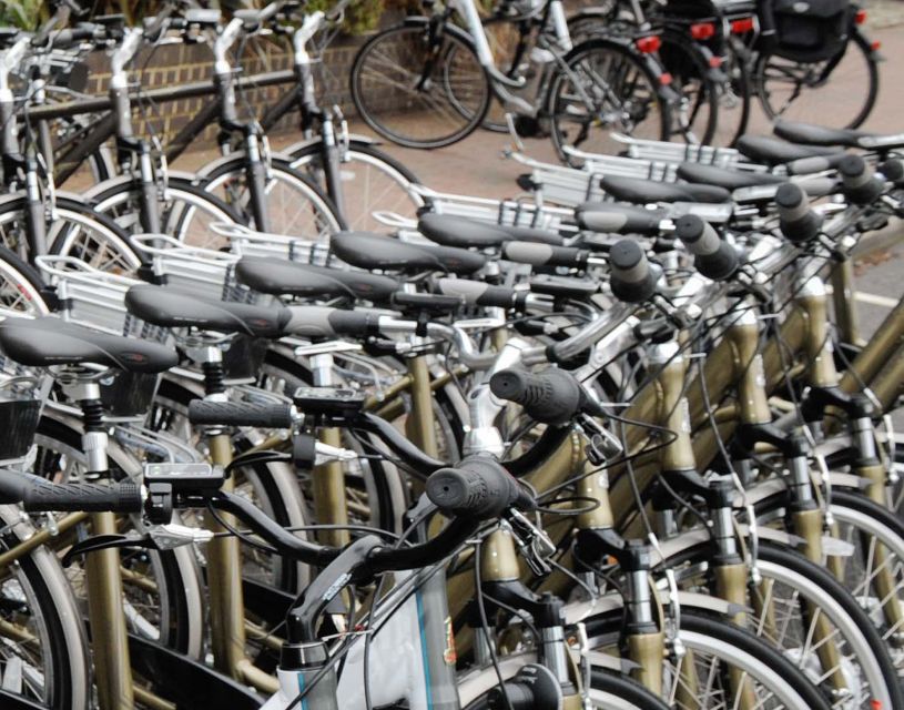 Seville: Guided Tour by Electric Bike - Why a Seville bike tour makes sense