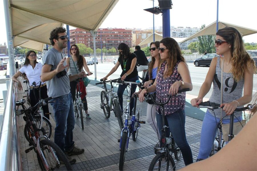 Seville: Highlights Bike Tour with Local Guide - Bicycle options and family planning