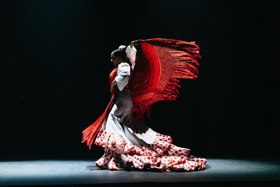 Seville: Live Flamenco Dancing Show Ticket at the Theater - The first moments: guitar, song, and footwork