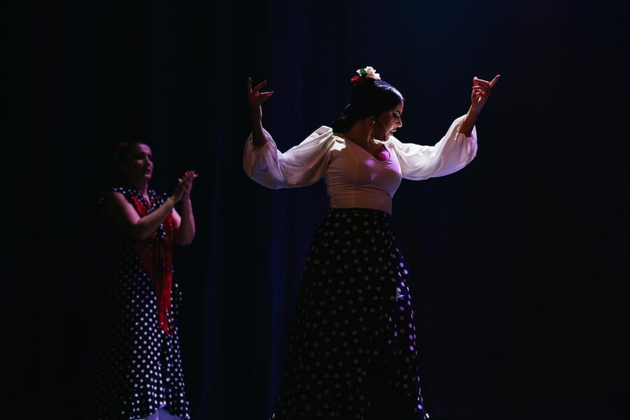 Seville: Live Flamenco Dancing Show Ticket at the Theater - How the one-hour program unfolds
