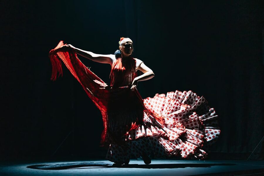 Seville: Live Flamenco Dancing Show Ticket at the Theater - Who will enjoy this Seville flamenco show?