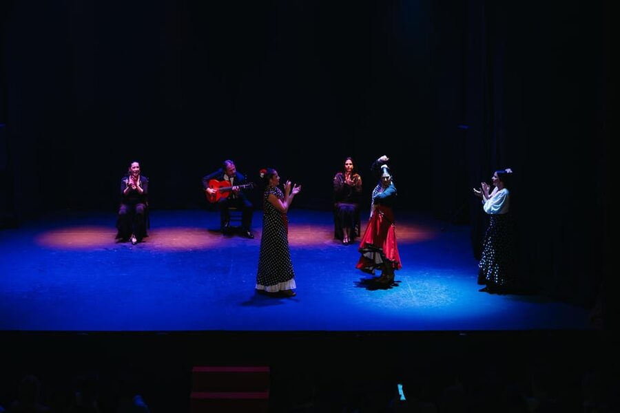 Seville: Live Flamenco Dancing Show Ticket at the Theater - Booking and timing advice