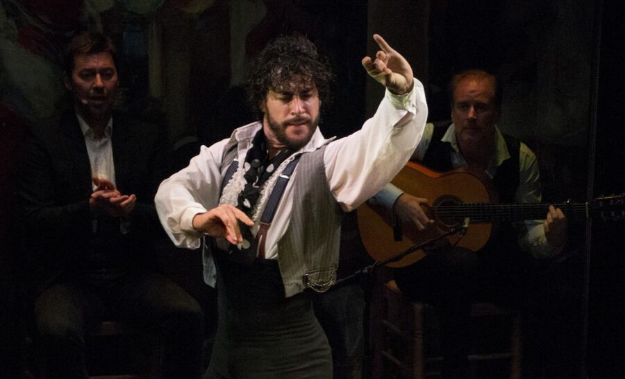 Seville: Live Flamenco Show at "Teatro Flamenco Triana" - The one-hour performance: what fills the stage