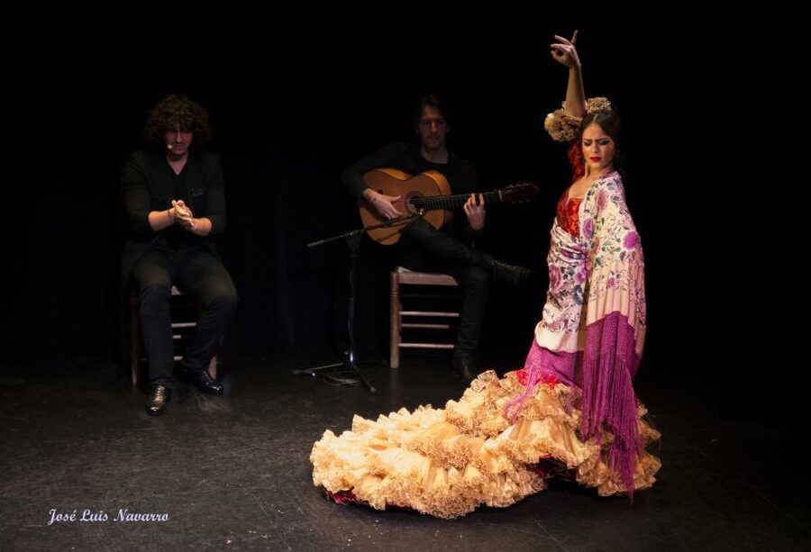 Seville: Live Flamenco Show at "Teatro Flamenco Triana" - The strongest part: emotion without extra decoration