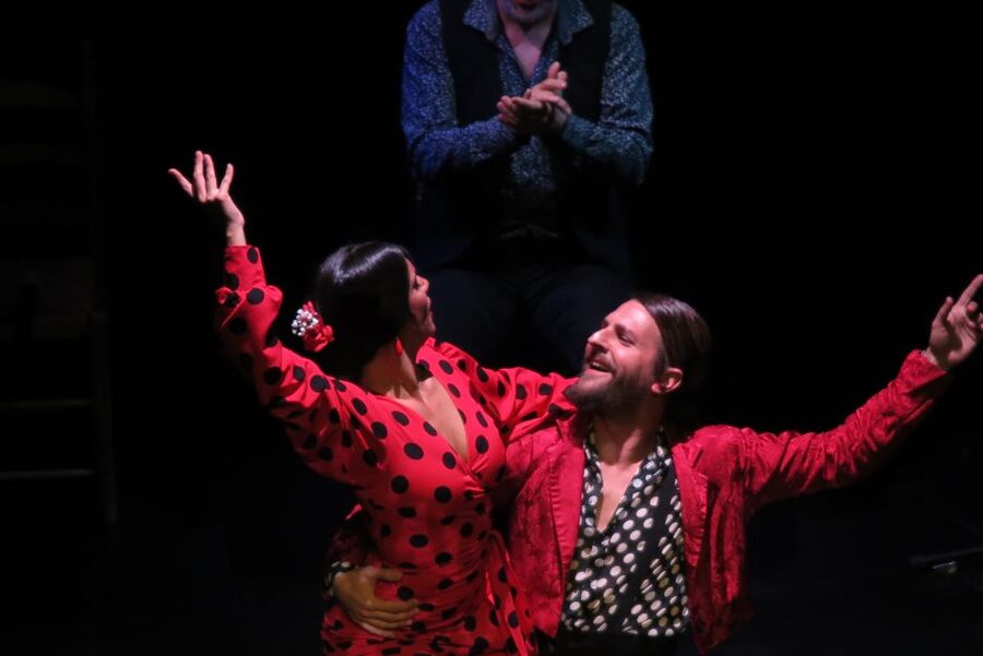 Seville: Live Flamenco Show at "Teatro Flamenco Triana" - Why the theater format improves the experience
