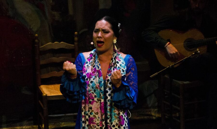 Seville: Live Flamenco Show at "Teatro Flamenco Triana" - Who should book this flamenco show