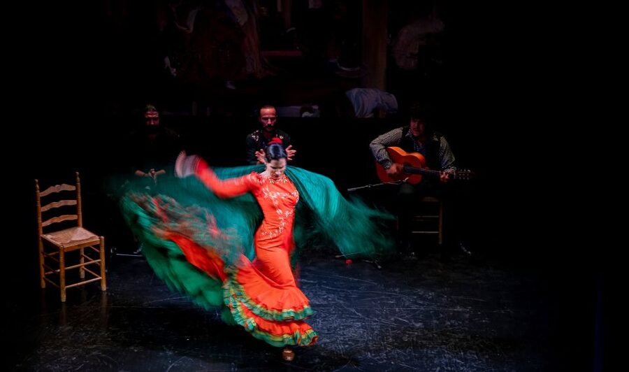 Seville: Live Flamenco Show at "Teatro Flamenco Triana" - Language, access, and booking flexibility