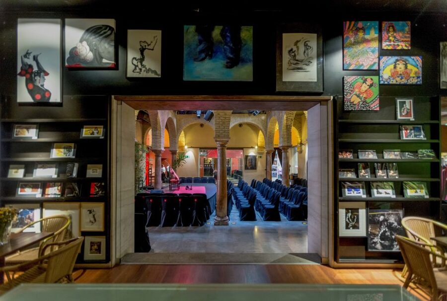 Seville: Museum of Flamenco Dance Admission Ticket - Who will enjoy this museum most