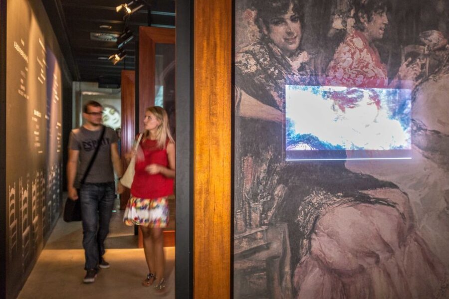 Seville: Museum of Flamenco Dance Admission Ticket - Cristina Hoyos and the museum’s purpose