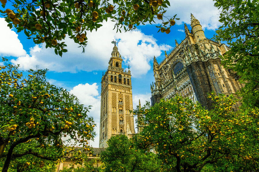 Seville: Priority Access Cathedral, Giralda & Alcázar Tour - Key points to know before booking
