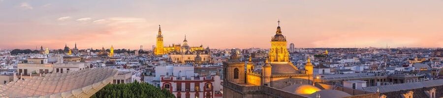 Seville: Priority Access Cathedral & Giralda Tour - The guide makes the difference