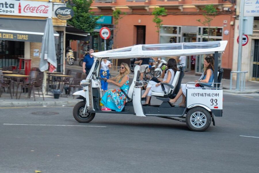 Seville: Private City Tour by Eco Tuk Tuk - One hour or two hours?