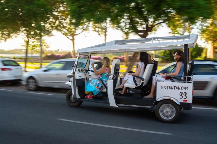 Seville: Private City Tour by Eco Tuk Tuk - Puente de Isabel II and the Triana approach