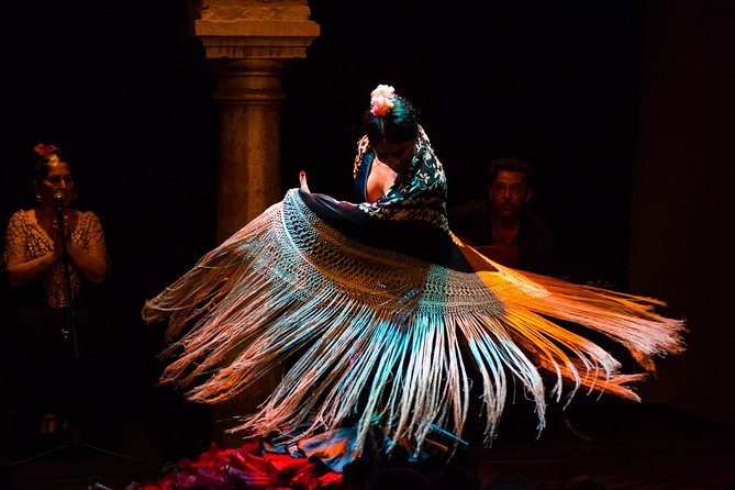 Seville: Puro Flamenco Show - Museo del Baile Flamenco - What Happens During the One-Hour Performance