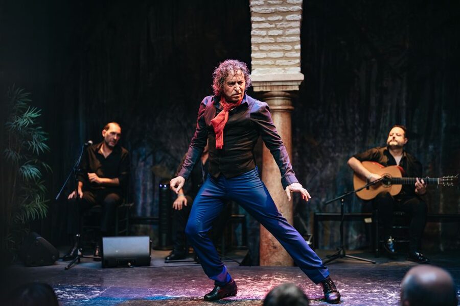 Seville: Puro Flamenco Show with Optional Museum Ticket - Is $34 a fair price?