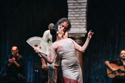 Puro Flamenco Show with Optional Museum Ticket