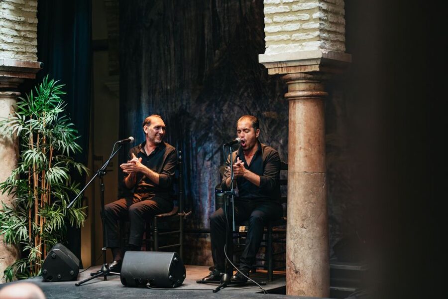 Seville: Puro Flamenco Show with Optional Museum Ticket - The performers: dancers, singers, and guitar