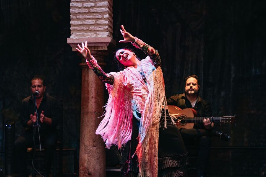Seville: Puro Flamenco Show with Optional Museum Ticket - Who will enjoy this show most?