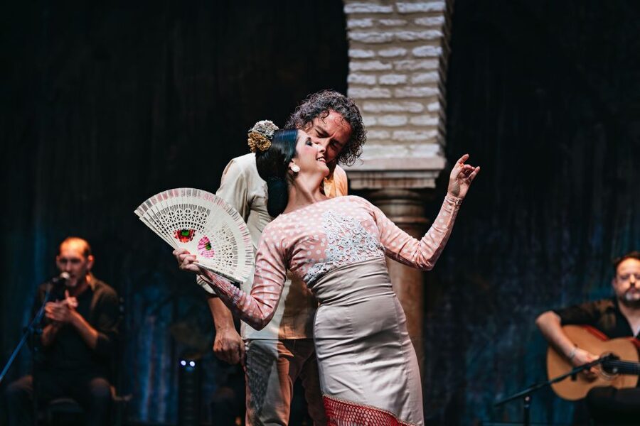 Seville: Puro Flamenco Show with Optional Museum Ticket - What the one-hour show includes