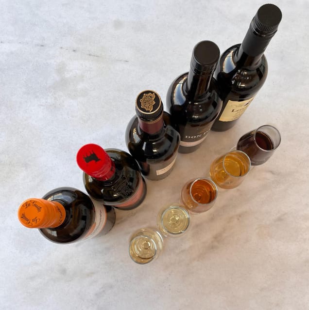 Seville: Sherry Wine Tasting with Light Snacks - The first part: a short lesson before the glasses arrive