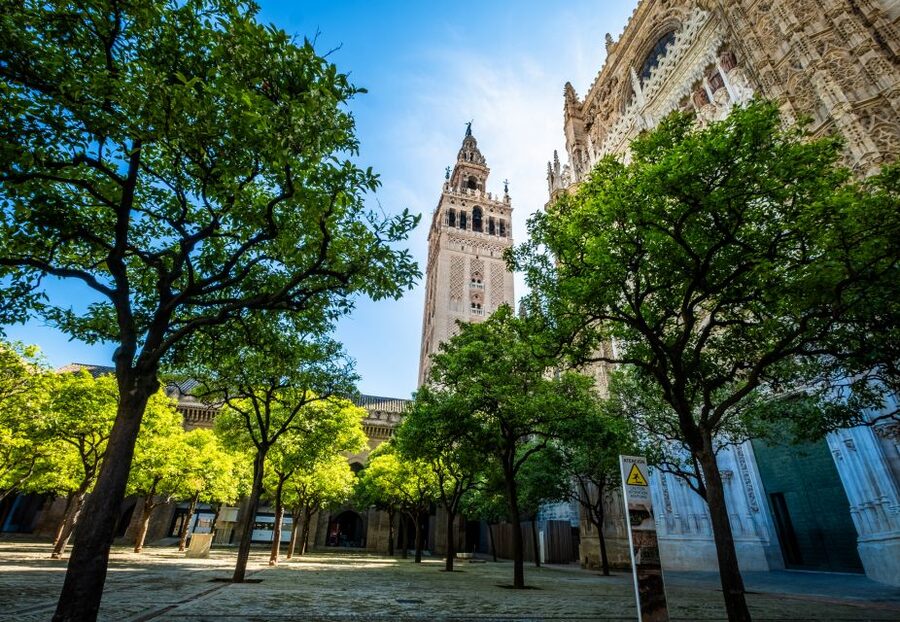 Seville: Small-Group Cathedral and Giralda Tour with Tickets - The guides are the real value