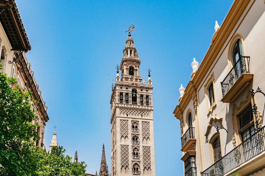 Seville: Tapas, Taverns and History Guided Walking Tour - The guides are a large part of the experience