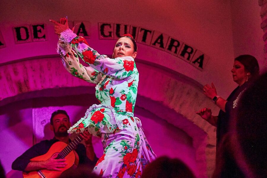 Seville: Ticket to Flamenco Show at La Casa de la Guitarra - Seating, comfort, and accessibility