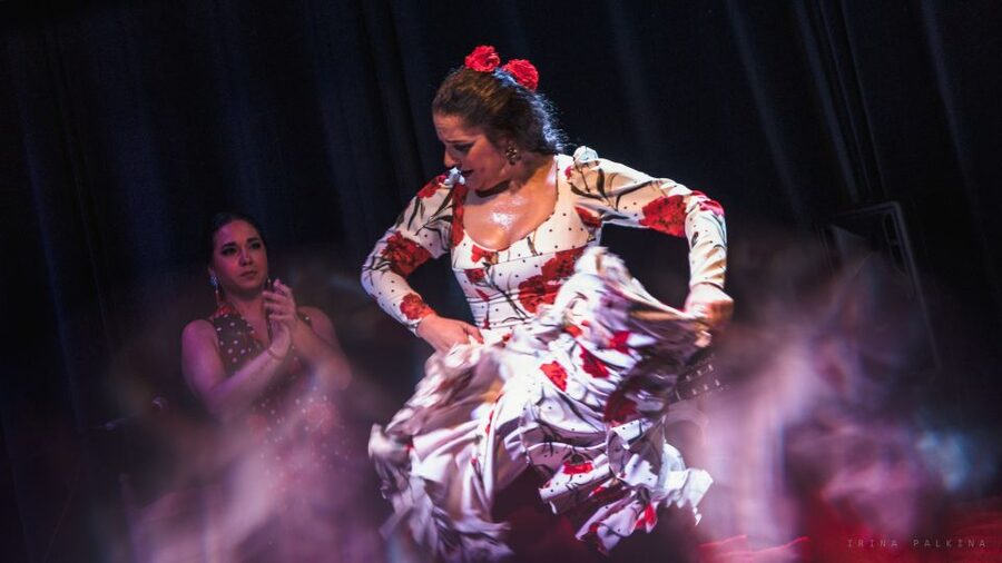 Seville: Traditional Flamenco Show in Triana - Who will enjoy this flamenco show most?