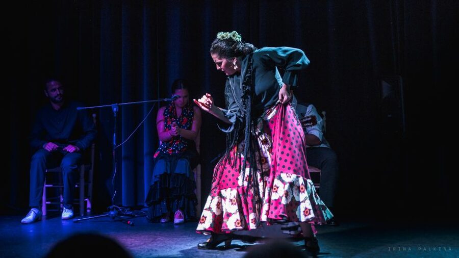 Seville: Traditional Flamenco Show in Triana - Two dancers, two distinct styles of movement