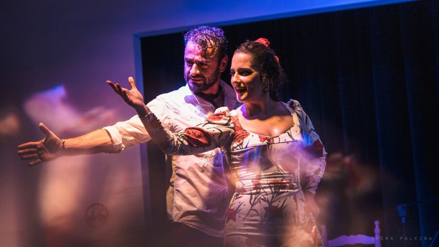 Seville: Traditional Flamenco Show in Triana - Is $26 a fair price for one hour?
