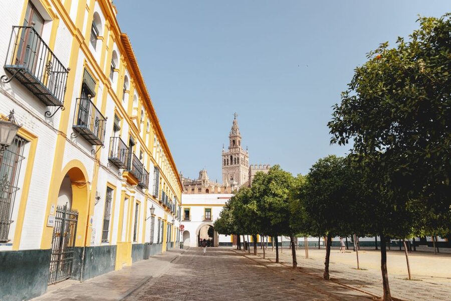 Seville: VIP Exclusive Early Access Tour of The Alcazar - Key points to know before booking