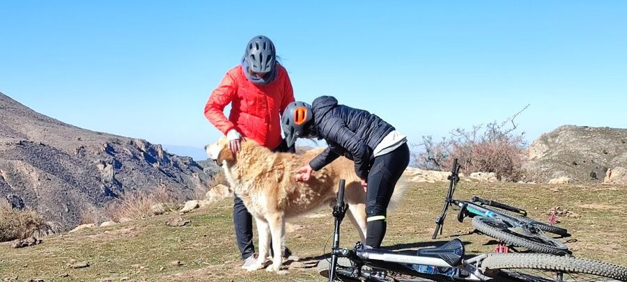 Sierra Nevada Small Group E-Bike Tour - Guides, safety, and the small comforts