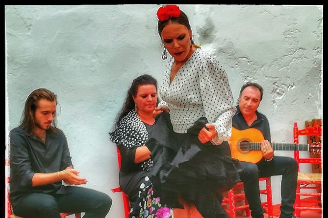Skip the Line: Tablao Flamenco Pura Esencia Ticket - Who will enjoy Pura Esencia most
