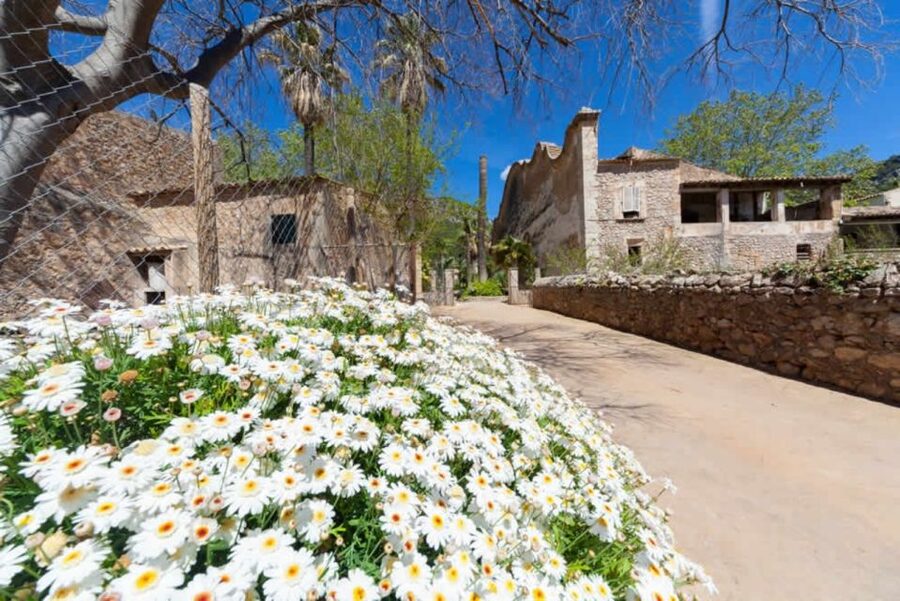 Sóller: Jardines de Alfabia Entrance Ticket - How much time should you allow?