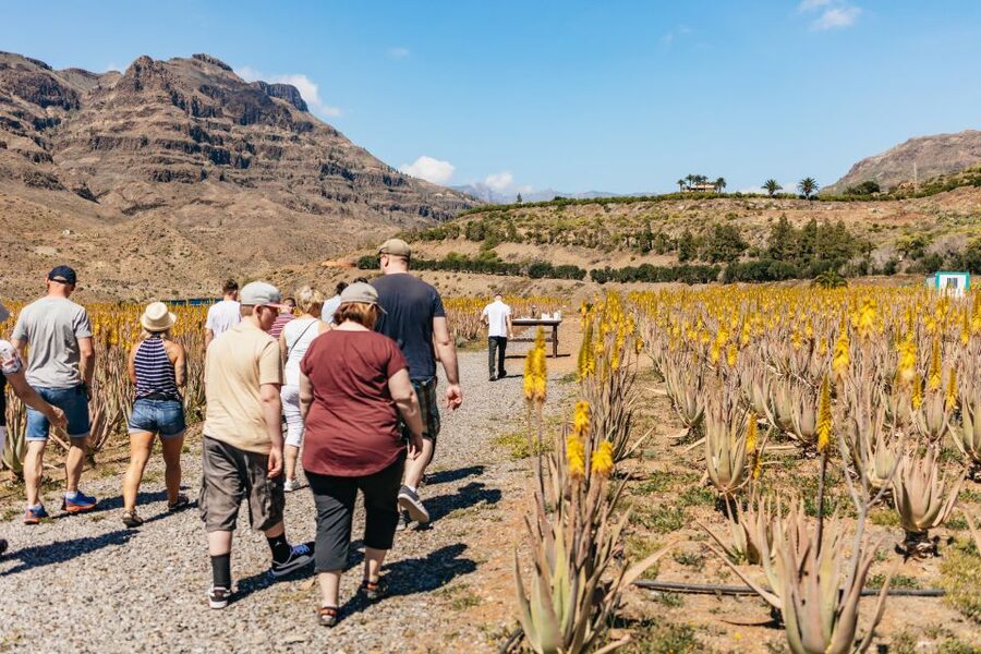 South Gran Canaria: Off-Road Valleys & Villages Jeep Tour - Key points before you book