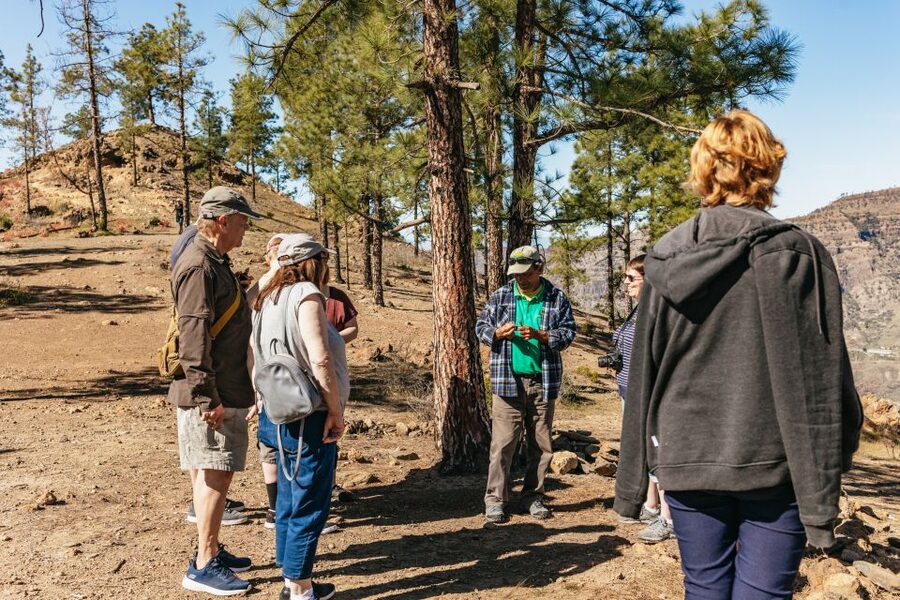 South Gran Canaria: Off-Road Valleys & Villages Jeep Tour - Maspalomas briefing and the road inland