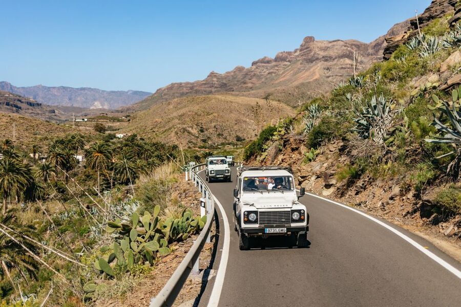 South Gran Canaria: Off-Road Valleys & Villages Jeep Tour - Through the Valley of the Thousand Palms to Fataga