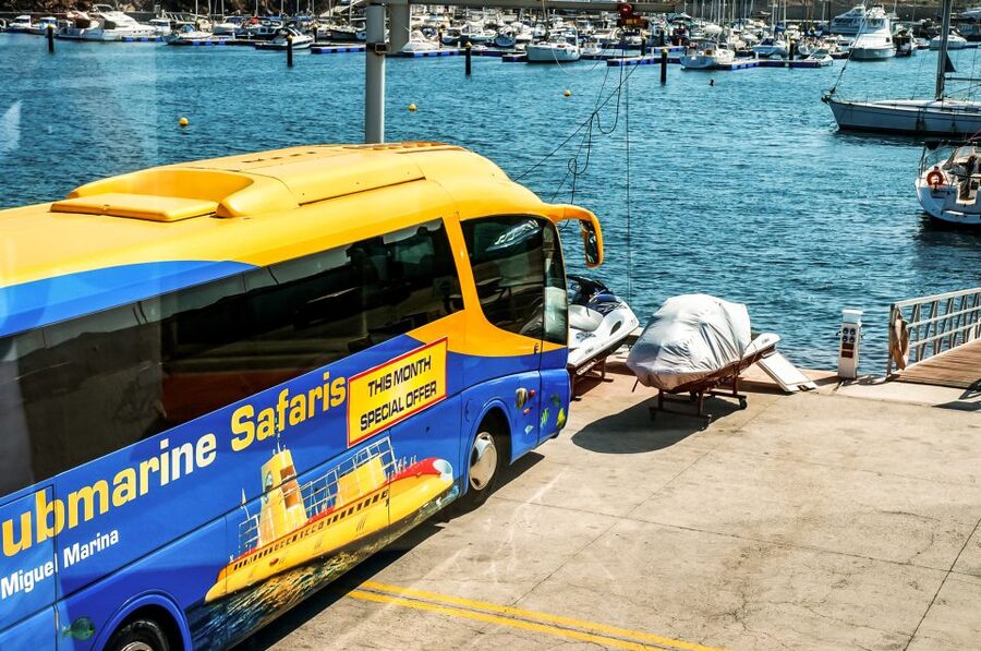 Southern Tenerife: 50-Minute Submarine Dive - Key details before you book