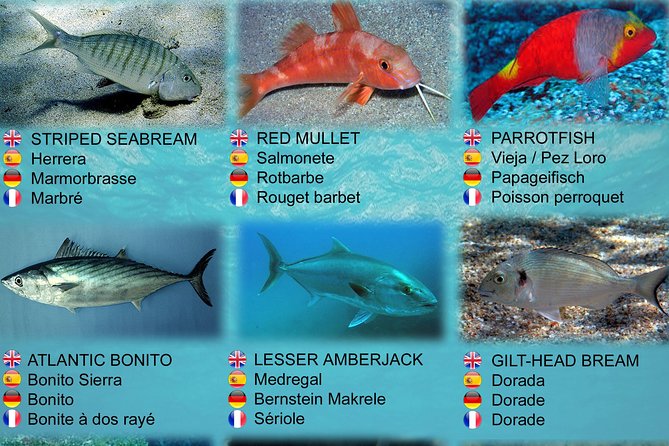 Submarine Safaris Lanzarote - Why children usually get the most from it