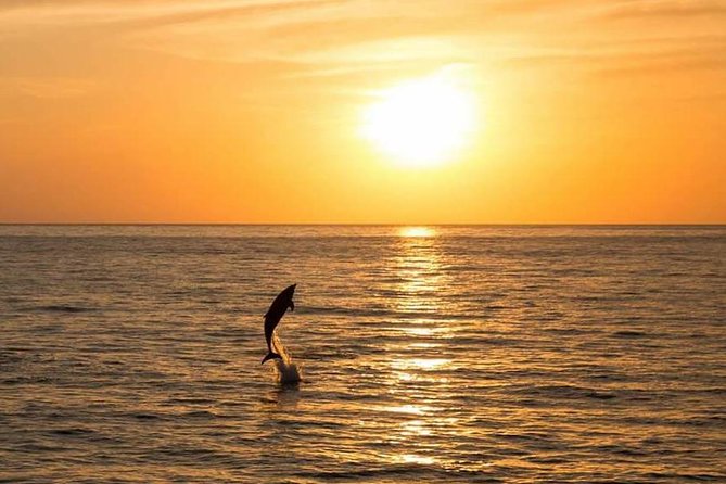 Sunset Beach Hopping Cruise, Cala Comte and Cala Bassa, SUP and snorkelling - Who will enjoy this cruise most
