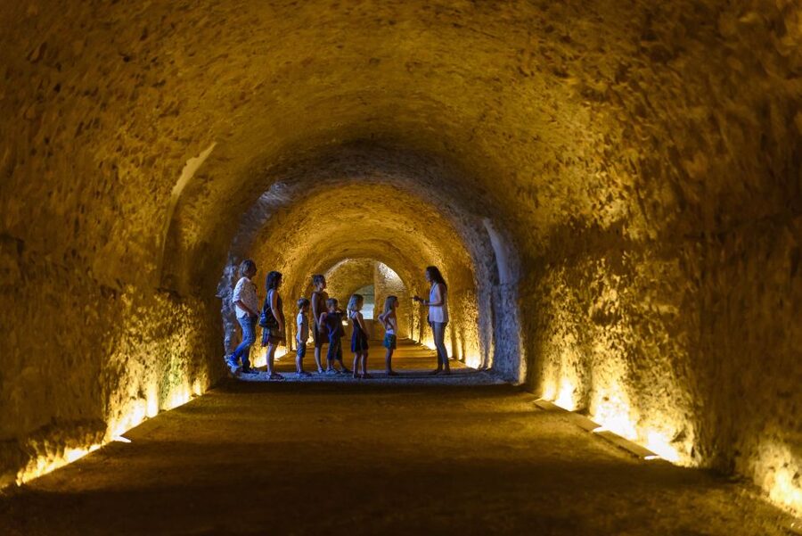 Tarragona: Roman Heritage Guided Walking Tour - What the $17 Price Really Buys You