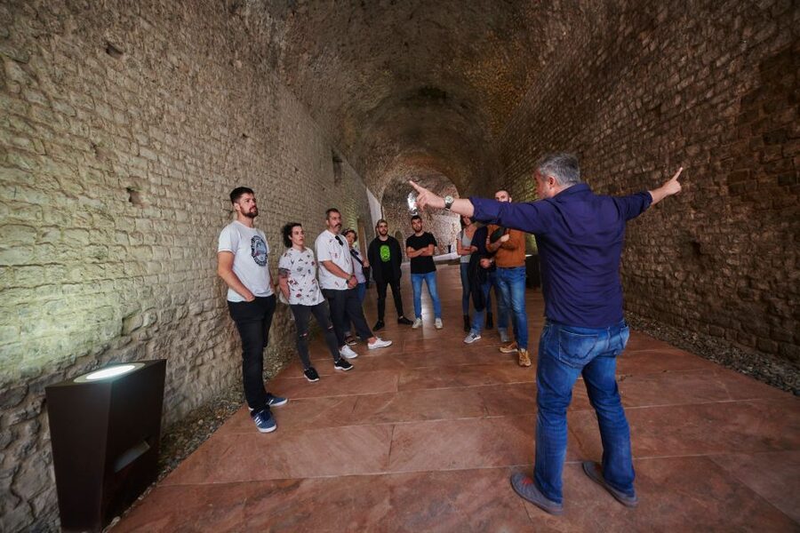 Tarragona: Roman Heritage Guided Walking Tour - Walking Comfort, Weather, and Access