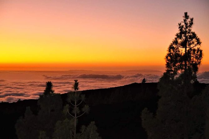 Teide National Park Sunset & Stargazing with Dinner (Star Safari) - Stargazing at Mirador de las Narices del Teide