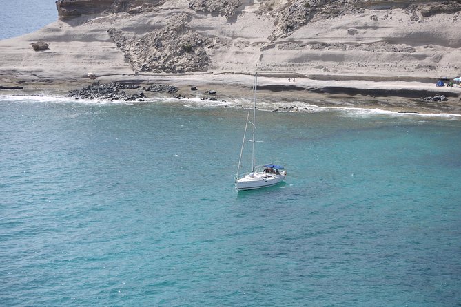 Tenerife 3-Hour Discover Whales and Dolphins - Key things to know before you book