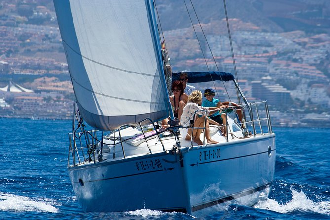 Tenerife 3-Hour Discover Whales and Dolphins - Leaving Puerto Colón for open-water wildlife