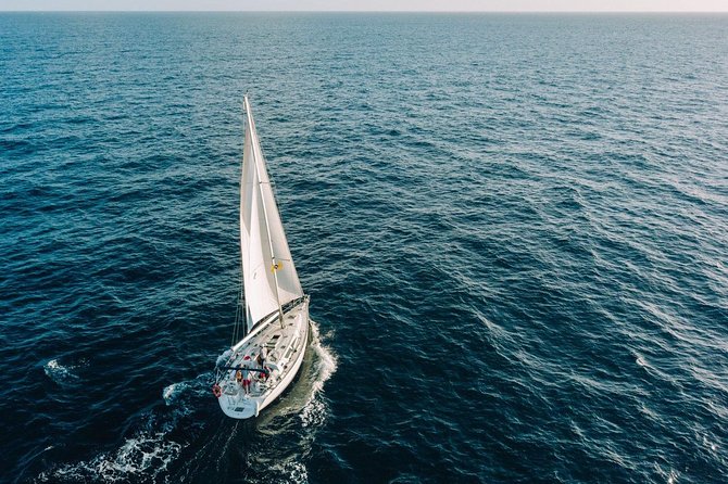 Tenerife 3-Hour Discover Whales and Dolphins - Lunch, drinks, and the relaxed onboard service