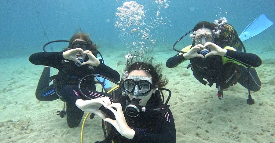 Tenerife: Beginner's Dive at a Spot with Turtle Sightings - Key Points at a Glance