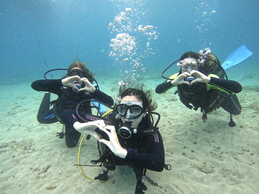 Tenerife: Beginner's Dive at a Spot with Turtle Sightings - Starting at Puerto Colón