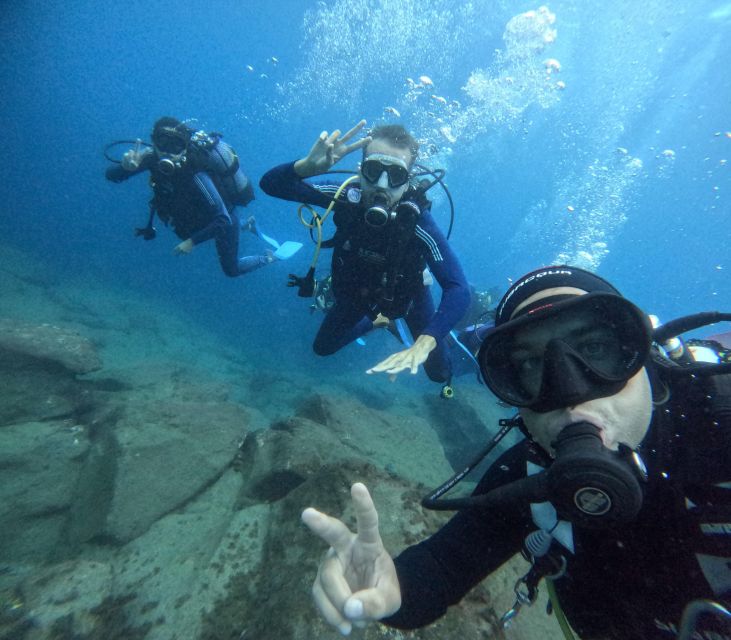 Tenerife: Beginner's Dive at a Spot with Turtle Sightings - A 15-Minute Speedboat Ride
