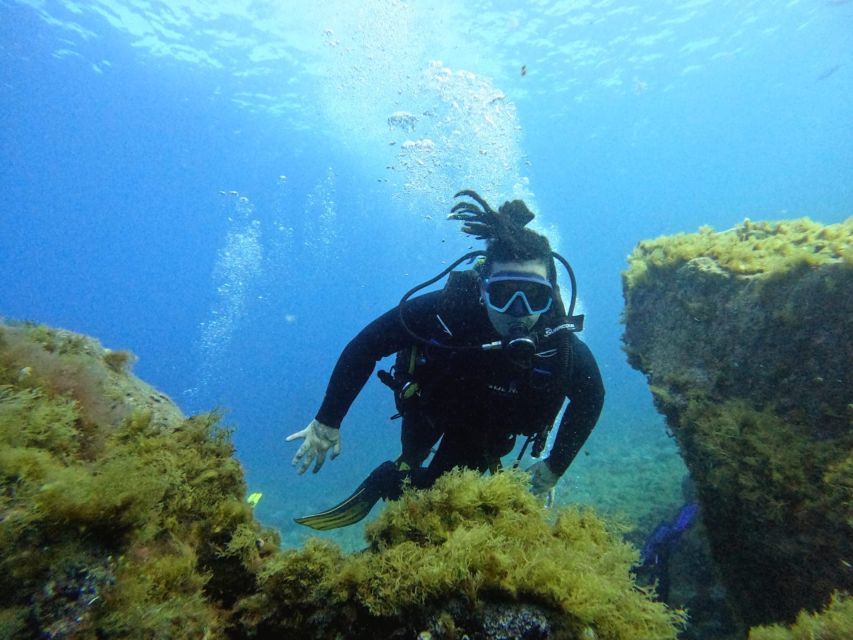 Tenerife: Beginner's Dive at a Spot with Turtle Sightings - Entering the Water for the First Time